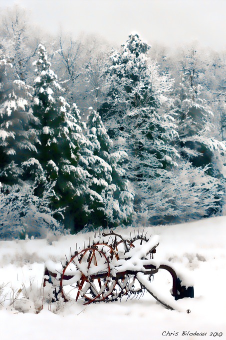 Winter_Scene_Auburn_Horse_2010feb28_162_Tag